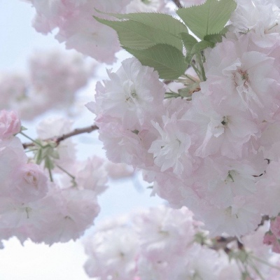 Furry绘画光影技巧福瑞交流群